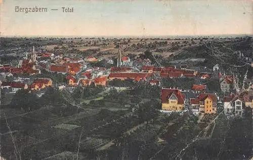 A213 Deutschland Bergzabern Gesamtansicht Vintage Postkarte