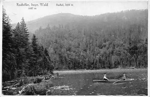 A213 Deutschland Rachelsee Bayr Waldsee Waldboot RPPC Vintage Postkarte
