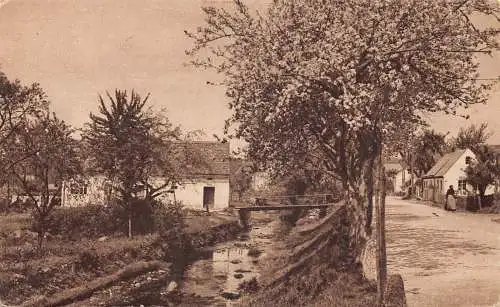A214 Deutschland unbekannte Landschaft Ansicht blühende Bäume Fluss Postkarte