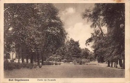 A215 Deutschland 1929 Bad Oeynhausen Kurpark Park Vintage Postkarte