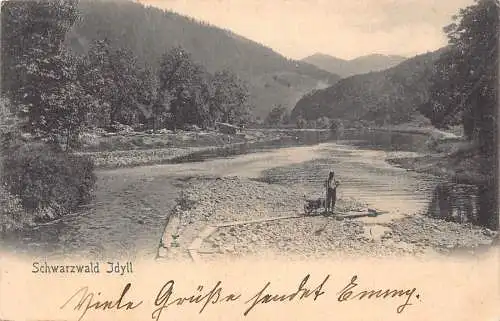 A215 Deutschland 1905 Schwarzwald Idylle Landschaft Bauernwagen Vintage Postkarte