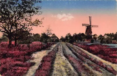 A215 Deutschland Aus der Lüneburger Heide Windmühle Blumen Vintage Postkarte