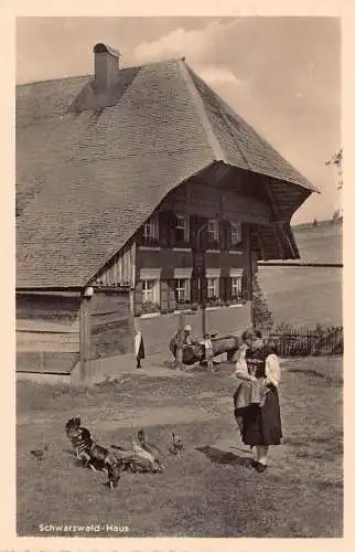 A216 Deutschland Schwarzwald Haus Frau Bauer Hühner RPPC Vintage Postkarte