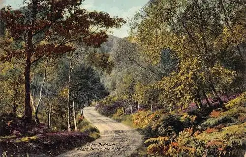 A032 Schottland In den Trossachs Wo sich der Weg windet Forststraße Postkarte