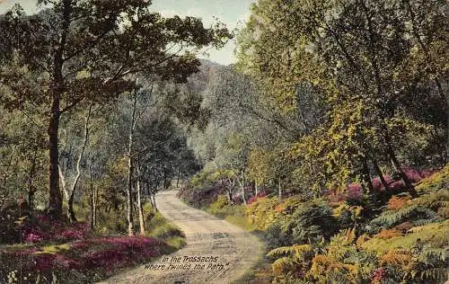 A030 Schottland In den Trossachs wo sich der Pfad Bäume Wald Postkarte