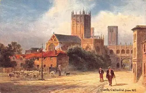 A030 England Wells Cathedral aus NE Schafe Gemälde signiert Vintage Postkarte