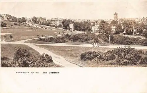 A030 England Tunbridge Wells The Common Vintage Postkarte