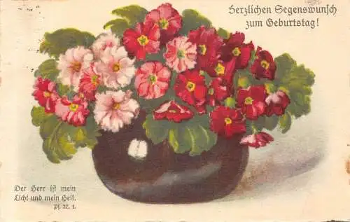 A218 Geburtstagsgrüße 1929 Primeln Blumen im Topf Postkarte