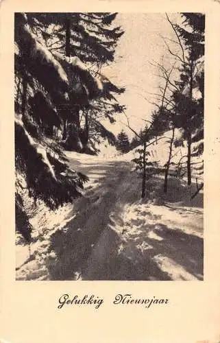 A219 Neujahrsgrüße 1948 Passepartout Schneeweg Wald Vintage Postkarte