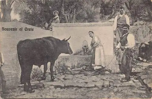 A836 Griechenland Andenken an Kreta Bullock Familie Brunnen Brunnen ethnische Postkarte