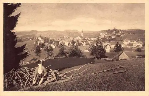 A221 Deutschland Hohenluftkurort Scheidegg Mann auf Holz Vintage Postkarte