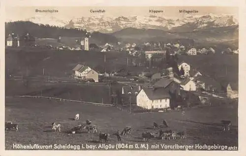 A222 Deutschland 1930 Höhenluftkurort Scheidegg Vorarlberg Kühe Vintage Postkarte