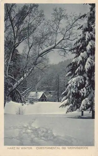 A224 Deutschland 1931 Harz im Winter Christianental bei Wernigerode Vintage Postkarte