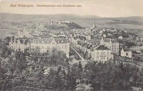 A223 Deutschland Bad Wildungen Gesamtansicht aus Wald Vintage Postkarte