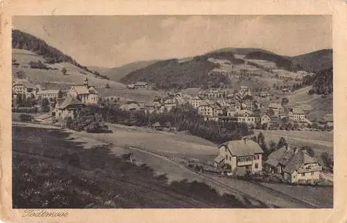 A223 Deutschland 1922 Todtmaas Gesamtansicht Vintage Postkarte