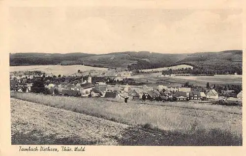 A223 Deutschland Tambach Dietharz Thür Wald Vintage Postkarte