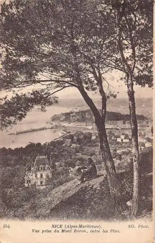 A841 Frankreich Nizza 1916 Vue prise du Mont Boron entre les Pins Vintage Postkarte
