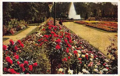 A230 Deutschland 1936 Berchtesgartenschau Dresden Vintage Postkarte