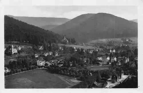 A231 Deutschland Herrenalb Schwarzwald RPPC Vintage Postkarte