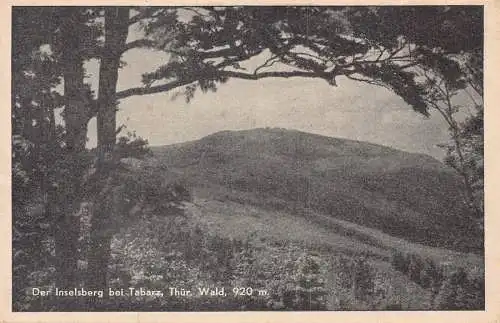A231 Deutschland Dar Inselsberg bei Tabarz Thür Wald Vintage Postkarte