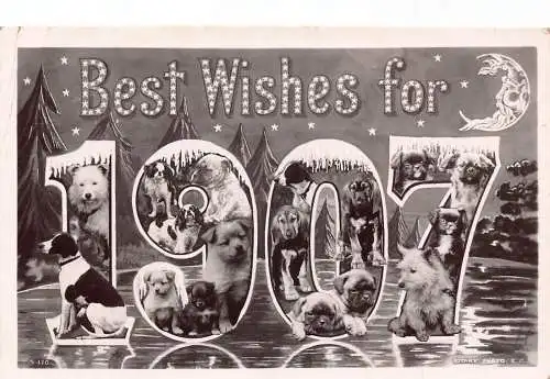 A046 Neujahrsgrüße 1907 Große Briefe Hunde Mondsichel Sterne Baum Postkarte