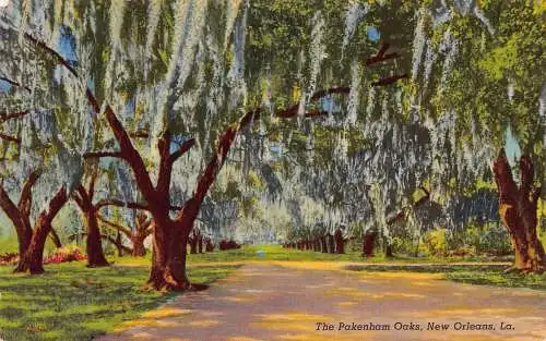 A849 US Louisiana New Orleans Pakenham Oaks Vintage Postkarte