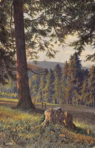 A847 Deutschland Inselberg von Poppswiese aus Wald Vintage Postkarte