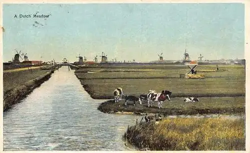 A850 Niederlande 1916 Holländische Wiese Fluss Windmühle Rinder Vintage Postkarte
