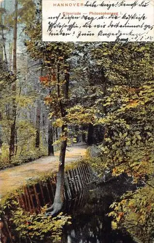 L051 Deutschland 1902 Hannover Eilenriede Philosophenweg Wald Vintage Postkarte