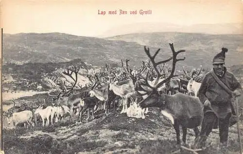 Norwegen Runde mit Rentier bei Grotli Vintage Postkarte