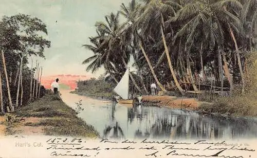 A045 Trinidad und Tobago 1906 Hurt's Cut Boot Palmen Vintage Postkarte