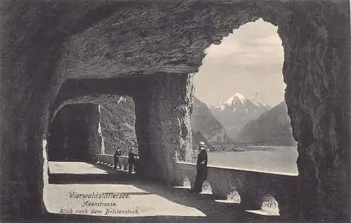 A041 Schweiz Vierwaldstettersee Axenstrasse Blick nach Bristenstoc Postkarte