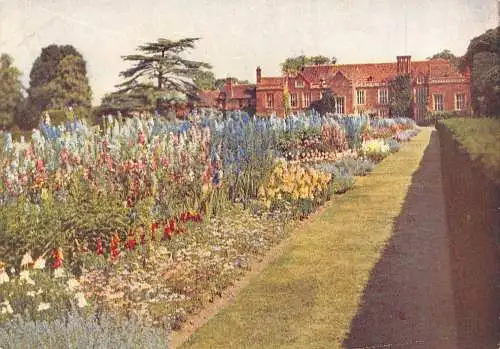 A860 Blumen Garten Studien gemischte einjährige Staudenmotive Gras Postkarte