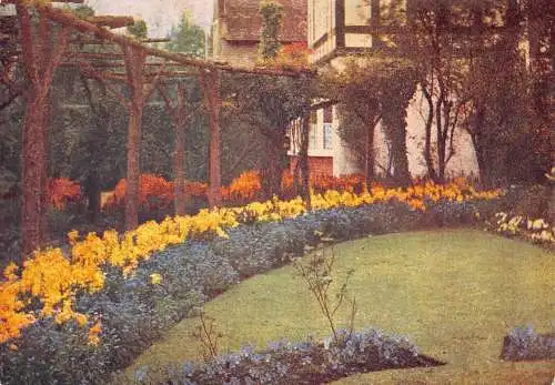 A860 Blumen Garten Studien Wandblumen Myosotis und Mauve Bratschen Postkarte