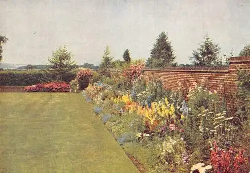 A860 Blumen Garten Studien Herrliche gemischte Grenze geschützt durch Wand Postkarte