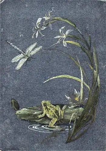 L291 Guernsey 1996 Frosch auf Lotus Blatt Libelle Blumen Silber Postkarte