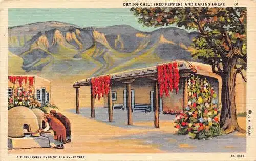 A855 US Trocknen Chili Und Backen Brot Heimat des Südwestens Vintage Postkarte
