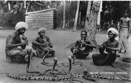 A853 Ceylon Sri Lanka Schlangenbeschwörer ethnische Männer Flöte RPPC Vintage Postkarte