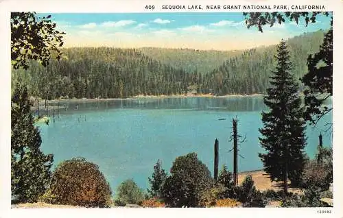 A856 US California Sequoia Lake Near Grant National Park Vintage Postkarte