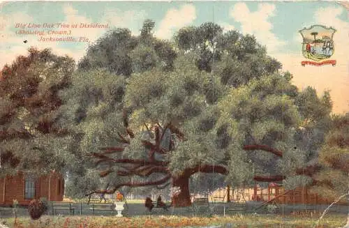 A856 US Big Live Oak Tree at Dixieland Jacksonville Florida Postkarte