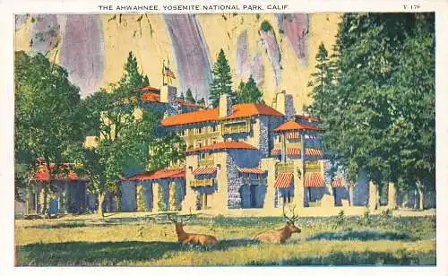 A856 US Ahwahnee Yosemite National Park Kalifornien Vintage Postkarte