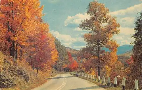 A856 US Herbstfarben entlang gewundener Straßen Vintage Postkarte