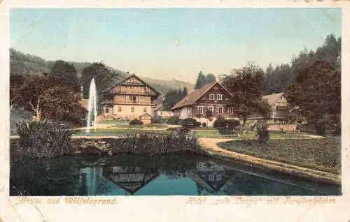 A232 Deutschland Gruss aus Woelfelsgrund Hotel Gute Laune Forelleneichen AK