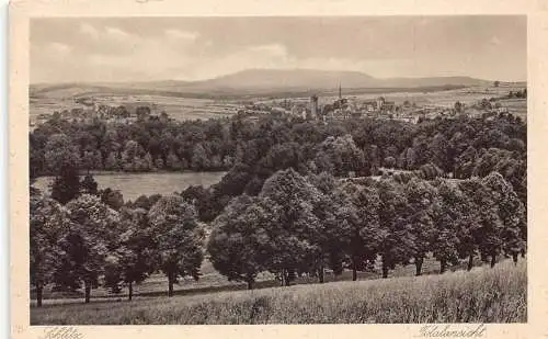 L306 Deutschland Schlitz Panoramablick Vintage Postkarte