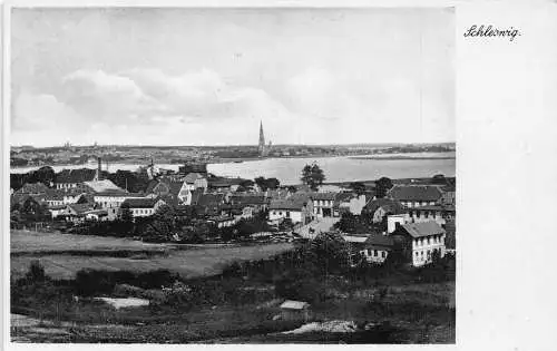 L306 Deutschland 1939 Schleswig Panoramablick Vintage Postkarte