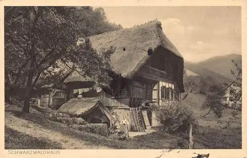 L304 Deutschland 1918 Feldpost 1. Weltkrieg Schwarzwaldhaus Familienwagen Postkarte