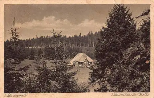 L304 Deutschland 1937 Schwarzwald Bauernhaus im Walde Wald Vintage Postkarte