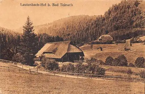 L304 Deutschland Lautenbach Hof bei Bad Teinacher Wald Vintage Postkarte