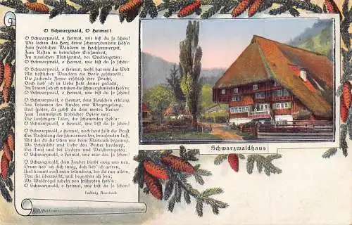 L303 Deutschland Schwarzwald Liedkarte Haus Tannenzapfen Vintage Postkarte