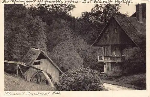 L303 Deutschland 1929 Schwarzwaldhaus Bauernhaus Wassermühle Vintage Postkarte
